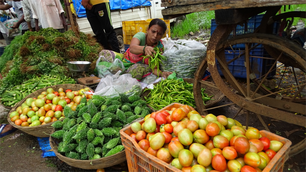Woman selling farm produce in Dolkhamb village, Maharashtra