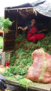 Woman selling farm produce from a truck in the village of Dolkhamb, Maharashtra