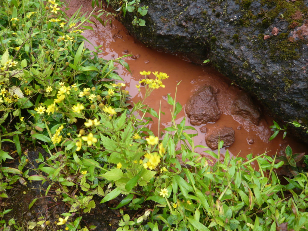 The Kaas plateau is covered with thin lateritic soil